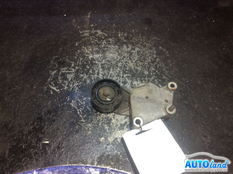 Intinzator Curea Alternator CITROEN C3 II 2009-2025 Cod 825809