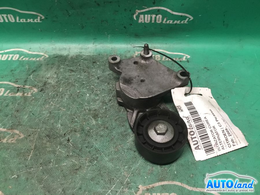 Intinzator Curea Alternator