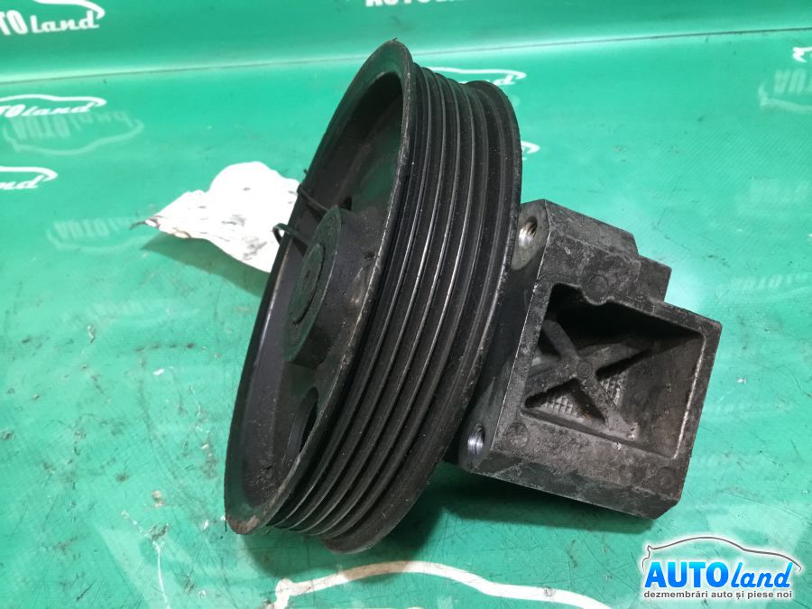 Intinzator Curea Alternator