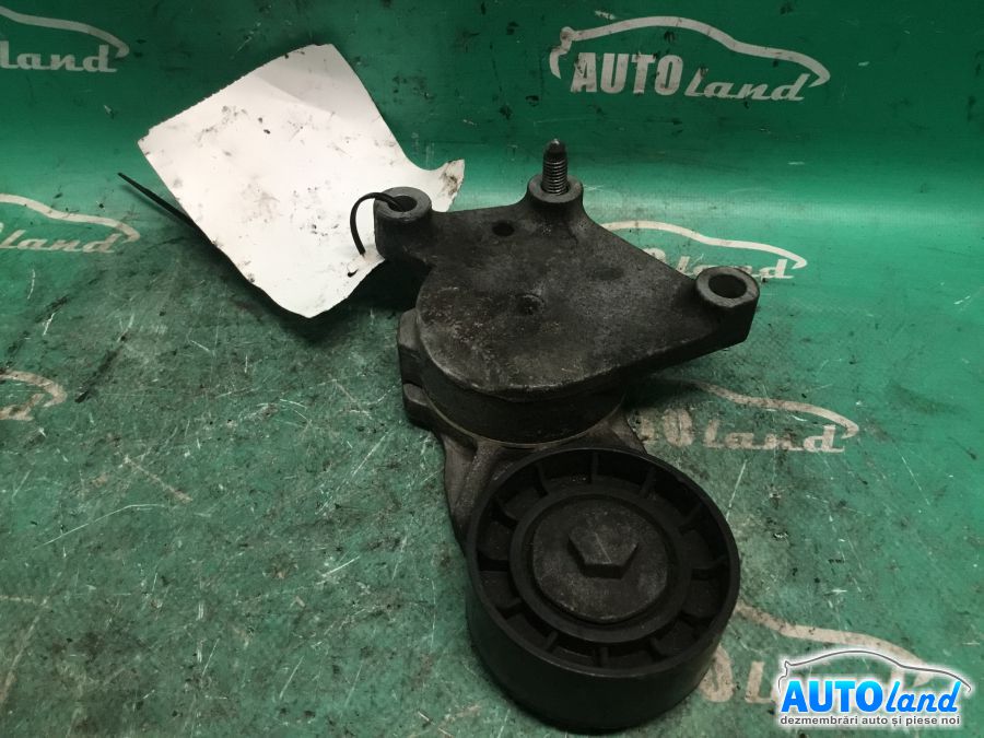 Intinzator Curea Alternator PEUGEOT 206 hatchback (2A/C) 1998-2025