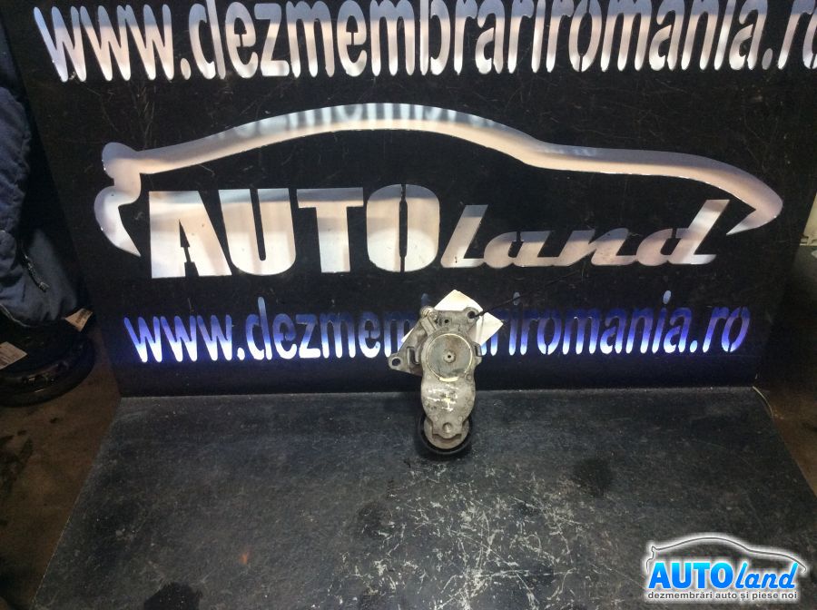 Intinzator Curea Alternator PEUGEOT 206 hatchback (2A/C) 1998-2025