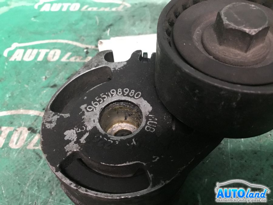 Intinzator Curea Alternator PEUGEOT 206 SW (2E/K) 2002-2025 Cod 9655198980