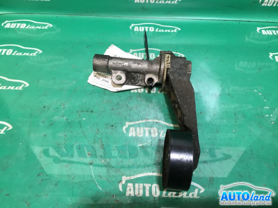 Intinzator Curea Alternator PEUGEOT 207 (WA_,WC_) 2006-2025