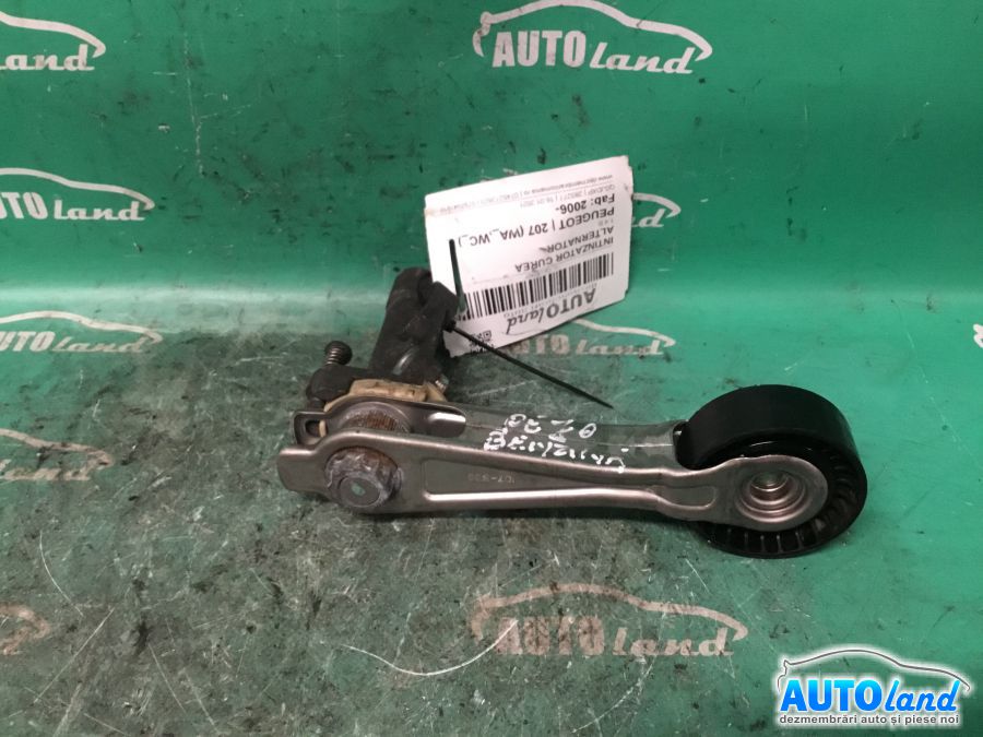 Intinzator Curea Alternator PEUGEOT 207 (WA_,WC_) 2006-2025