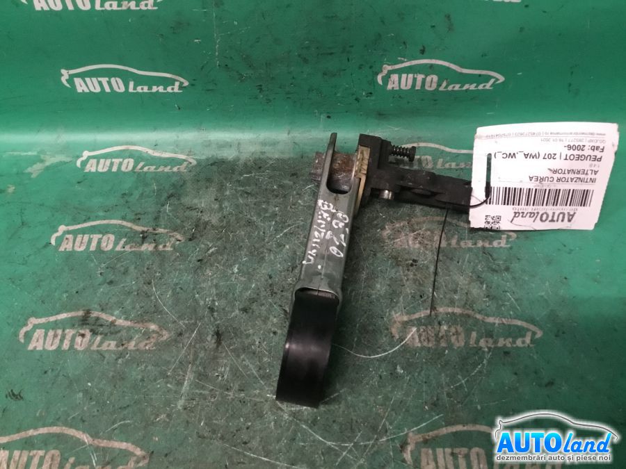 Intinzator Curea Alternator PEUGEOT 207 (WA_,WC_) 2006-2025