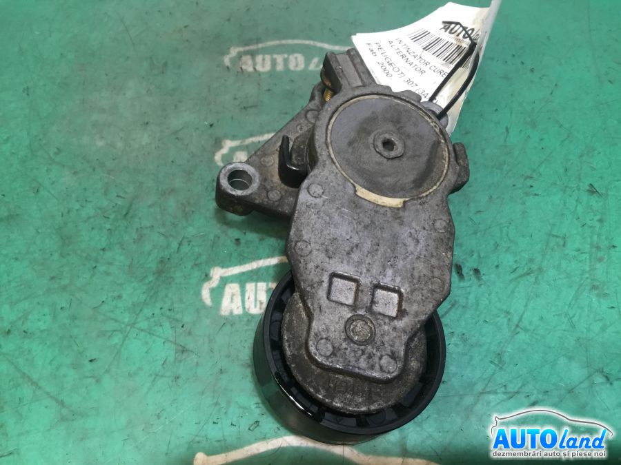 Intinzator Curea Alternator PEUGEOT 307 (3A/C) 2000-2025