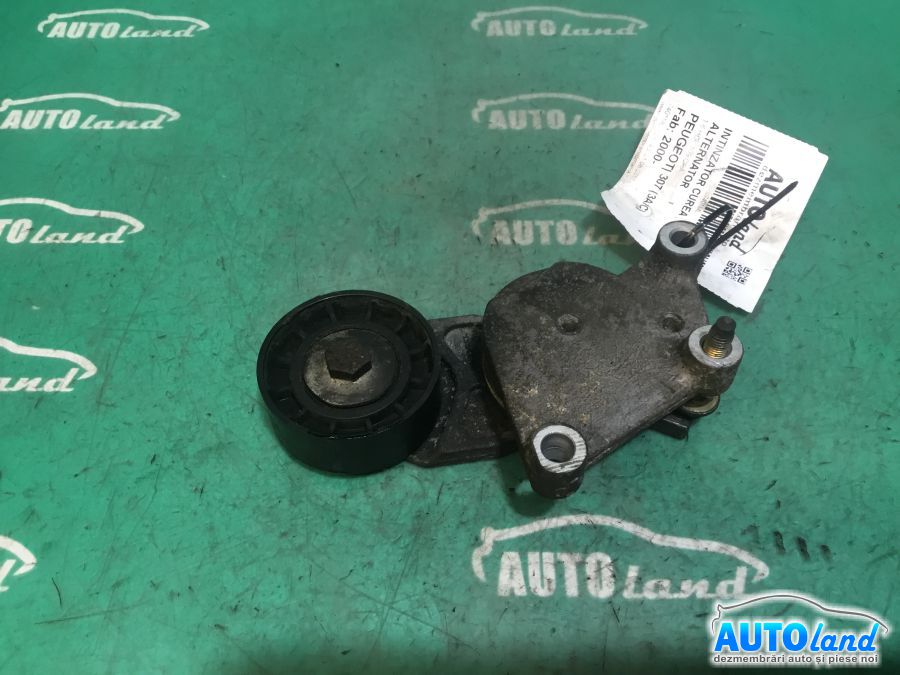 Intinzator Curea Alternator PEUGEOT 307 (3A/C) 2000-2025