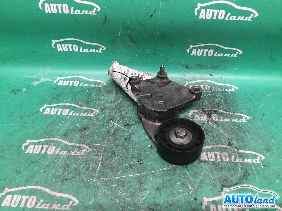Intinzator Curea Alternator PEUGEOT 307 (3A/C) 2000-2025