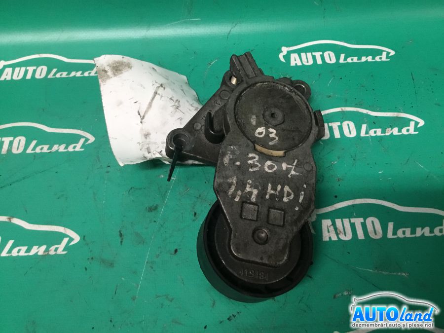 Intinzator Curea Alternator PEUGEOT 307 (3A/C) 2000-2025