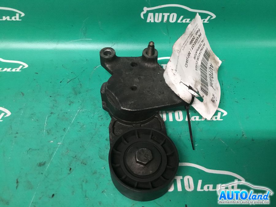 Intinzator Curea Alternator PEUGEOT 307 (3A/C) 2000-2025