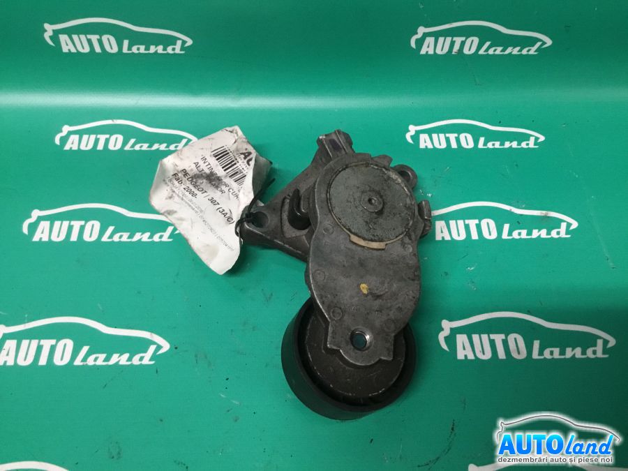 Intinzator Curea Alternator PEUGEOT 307 (3A/C) 2000-2025 Cod 825809