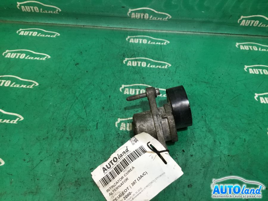 Intinzator Curea Alternator PEUGEOT 307 (3A/C) 2000-2025 Cod 9677061480