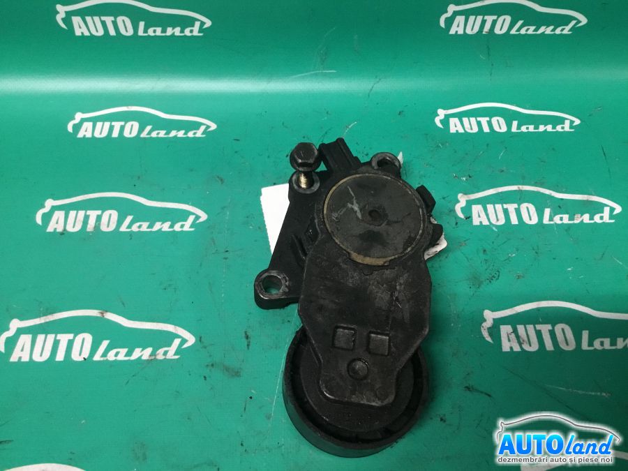 Intinzator Curea Alternator PEUGEOT 307 (3A/C) 2000-2025