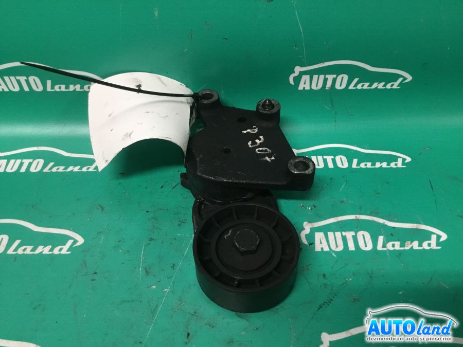 Intinzator Curea Alternator PEUGEOT 307 (3A/C) 2000-2025