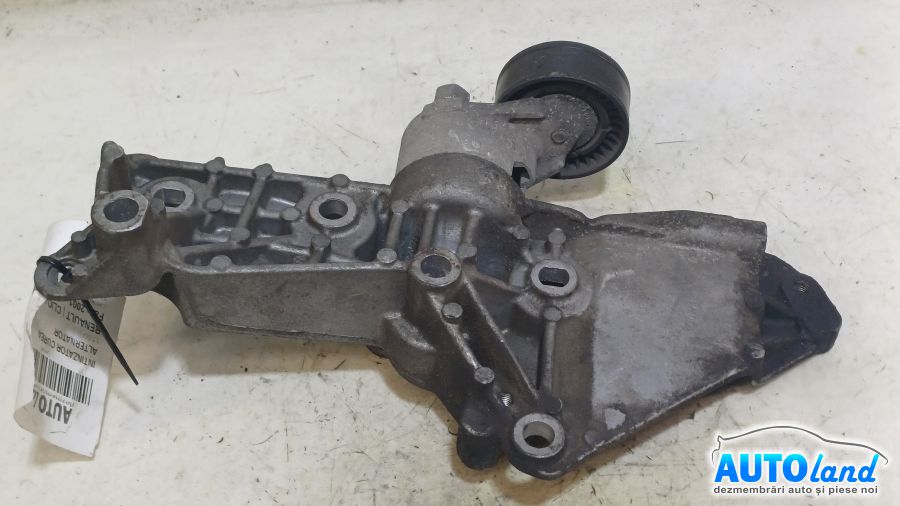 Intinzator Curea Alternator RENAULT CLIO II 2001-2025 Cod 8200327134