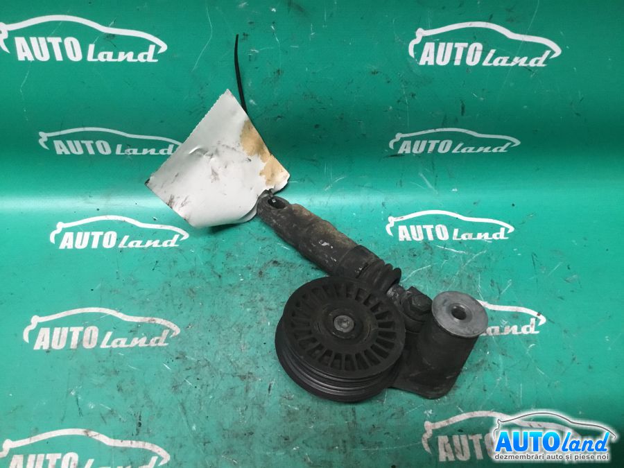 Intinzator Curea Alternator