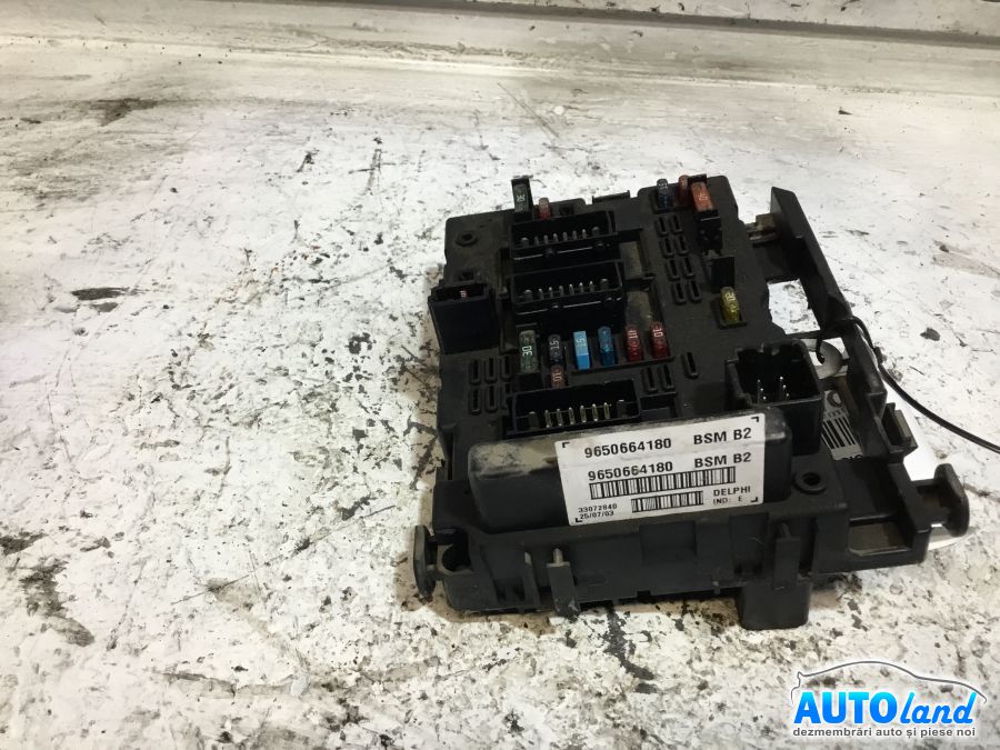 Panou sigurante (tablou) PEUGEOT 206 hatchback (2A/C) 1998-2025 Cod 9650664180