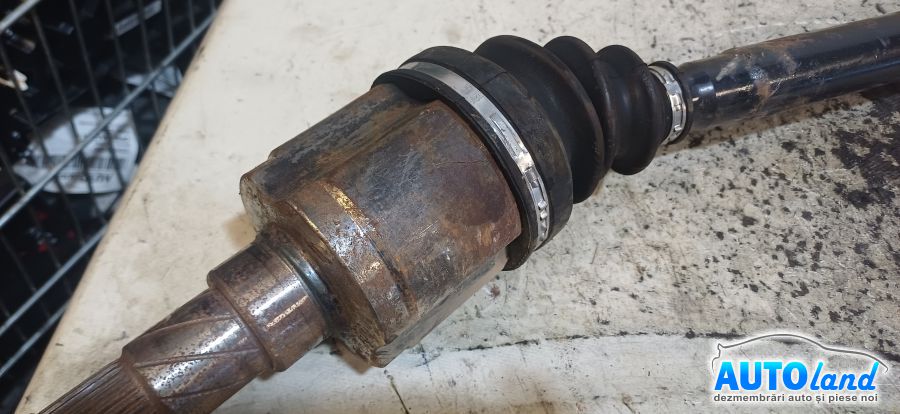 Planetara Dreapta NEIDENTIFICAT NEIDENTIFICAT 2000-2026 Cod 100771901B