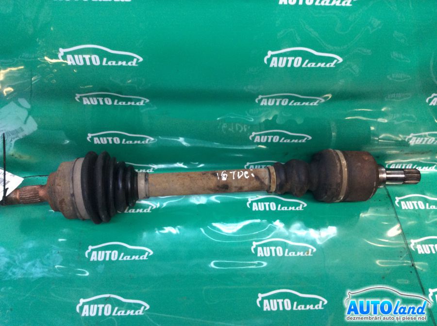 Planetara Stanga CITROEN C4 (LC_) 2004-2025