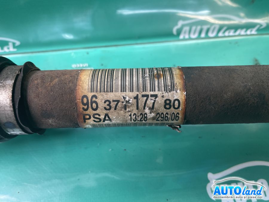 Planetara Stanga CITROEN C4 (LC_) 2004-2025