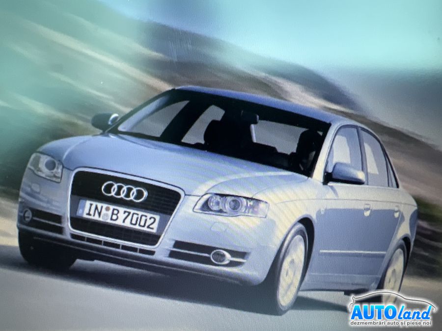 Plansa bord (Carcasa bord) AUDI A4 (8EC) 2004-2008