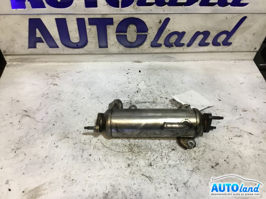Racitor EGR CHEVROLET CAPTIVA 2006-2025 Cod 96817829