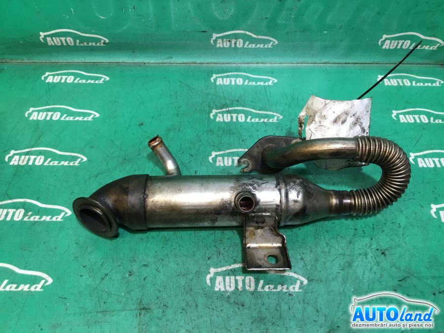 Racitor EGR FORD FOCUS (DAW,DBW) 1998-2001