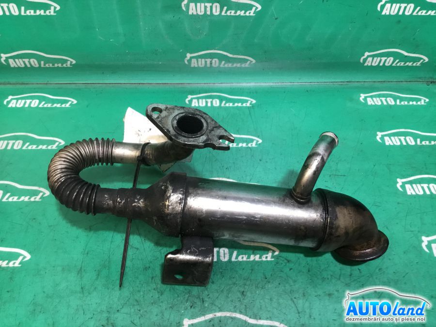 Racitor EGR FORD FOCUS (DAW,DBW) 1998-2001