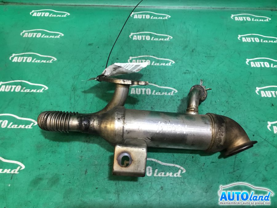 Racitor EGR FORD FOCUS (DAW,DBW) 2001-2007