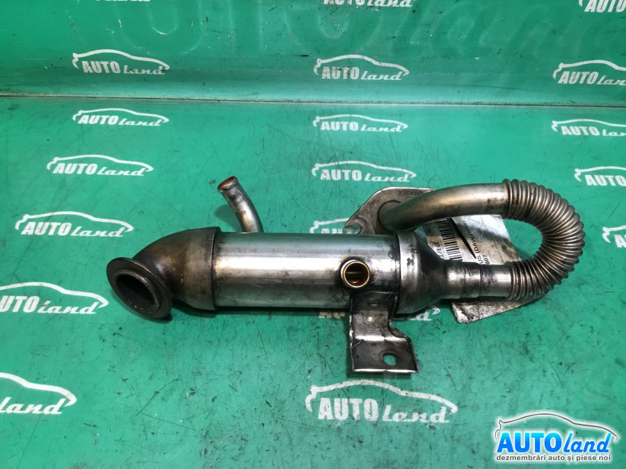 Racitor EGR FORD FOCUS (DAW,DBW) 2001-2007