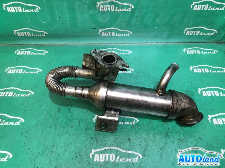 Racitor EGR FORD FOCUS (DAW,DBW) 2001-2007