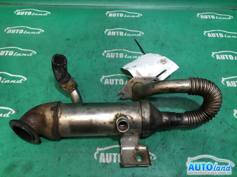Racitor EGR FORD FOCUS (DAW,DBW) 2001-2007