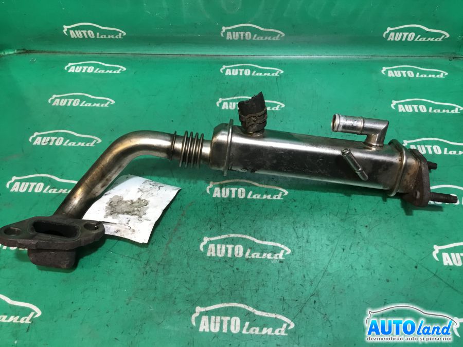 Racitor EGR NISSAN X-TRAIL (T31) 2007-2025