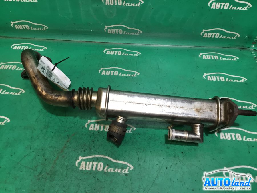 Racitor EGR NISSAN X-TRAIL (T31) 2007-2025