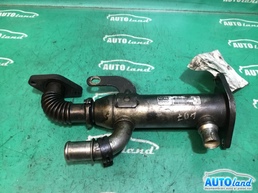 Racitor EGR PEUGEOT 407 (6D_) 2004-2025 Cod 9645689780