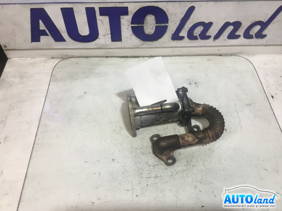 Racitor EGR RENAULT MEGANE II (BM0/1_,CM0/1_) 2002-2025