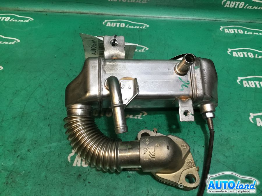 Racitor EGR RENAULT MEGANE III Hatchback (BZ0/1_) 2008-2025 Cod 010415A