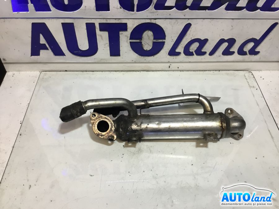 Racitor EGR VOLKSWAGEN PASSAT (3B3) 2000-2005