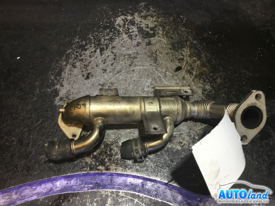 Racitor EGR VOLKSWAGEN POLO (9N_) 2001-2025 Cod 038131513K