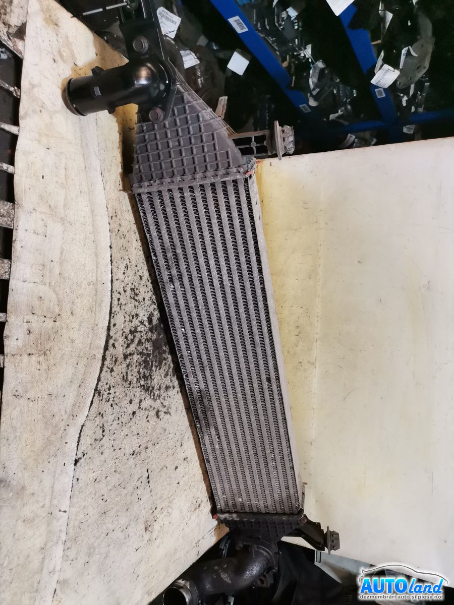 Radiator Intercooler NISSAN QASHQAI (J10,JJ10) 2007-2026 Cod 14461BB50B