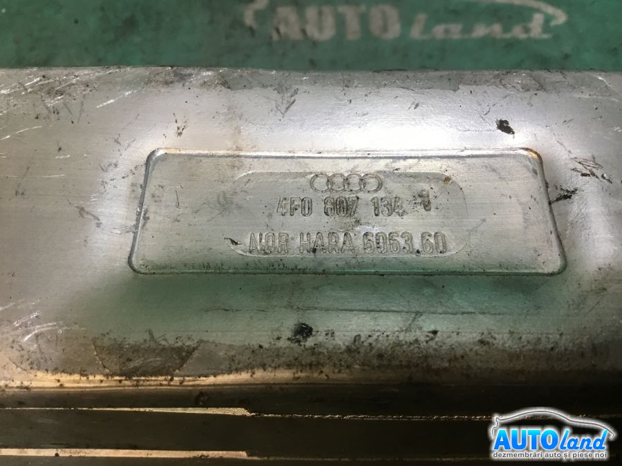 Shock Absorber AUDI A6 (4F2,C6) 2004-2011 Cod 4F0807134