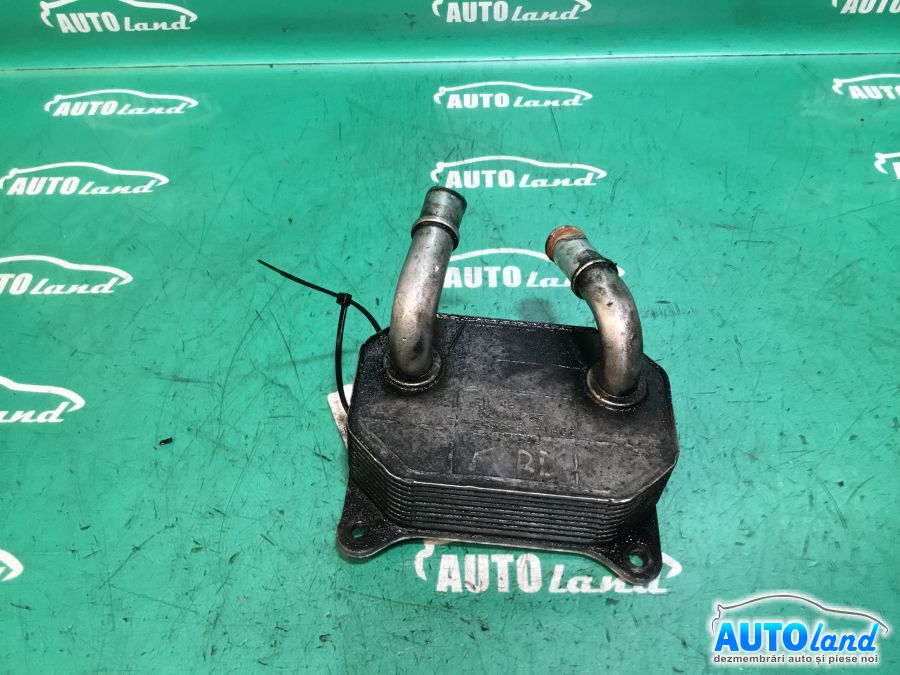Termoflot (racitor Ulei) FORD FOCUS II (DA_) 2004-2008 Cod TN2439B