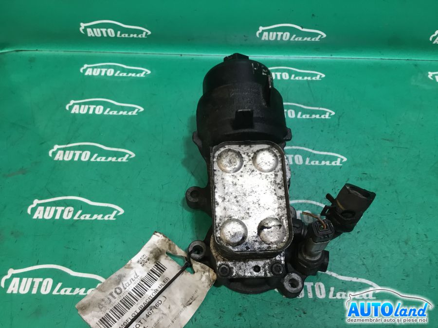 Termoflot (racitor Ulei) PEUGEOT 407 (6D_) 2004-2025