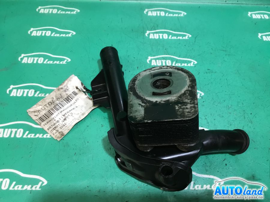 Termoflot (racitor Ulei) RENAULT MEGANE II (BM0/1_,CM0/1_) 2002-2025