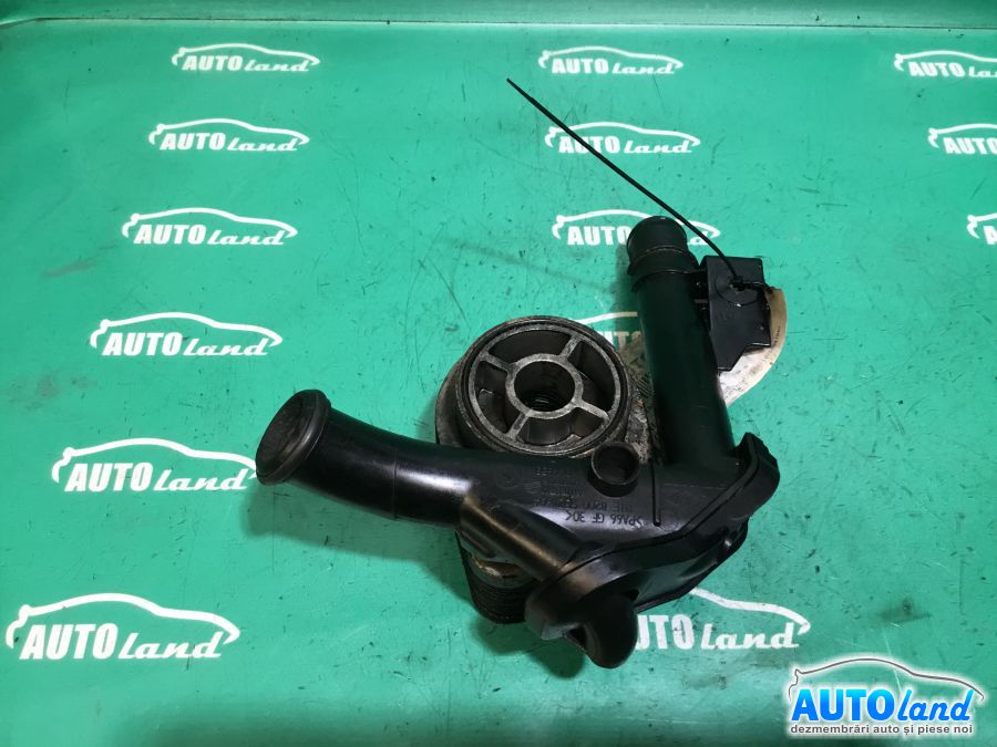 Termoflot (racitor Ulei) RENAULT MEGANE II (BM0/1_,CM0/1_) 2002-2025