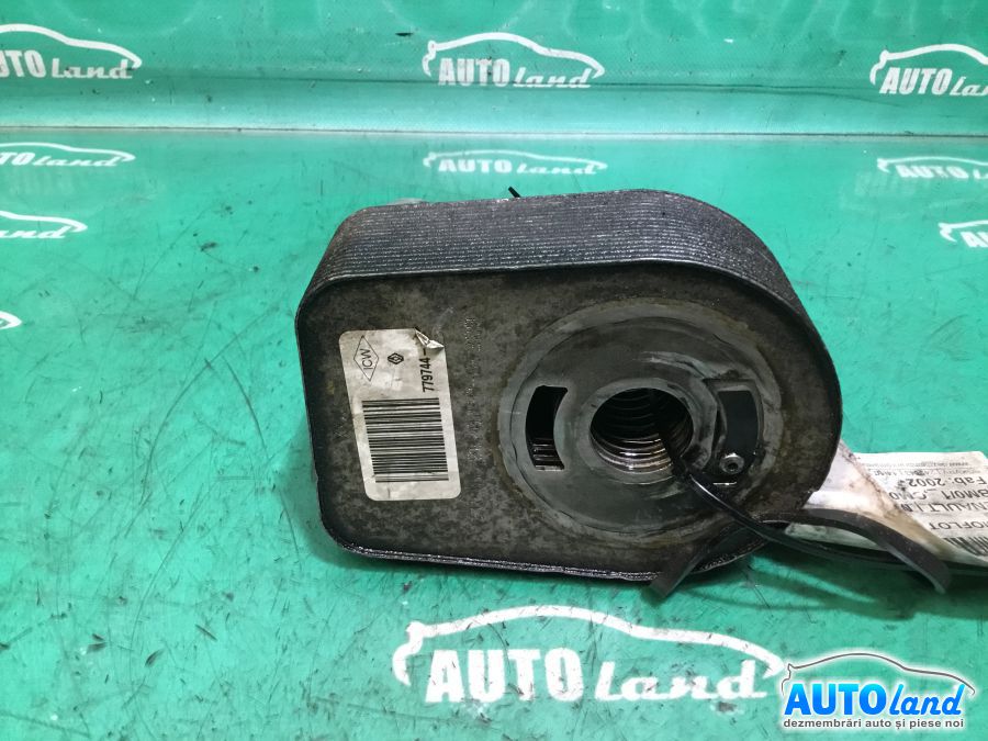 Termoflot (racitor Ulei) RENAULT MEGANE II (BM0/1_,CM0/1_) 2002-2025