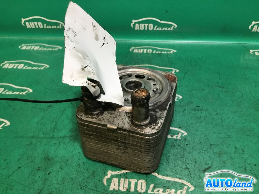 Termoflot (Racitor Ulei) VOLKSWAGEN GOLF IV (1J1) 1997-2005 Cod 038117081