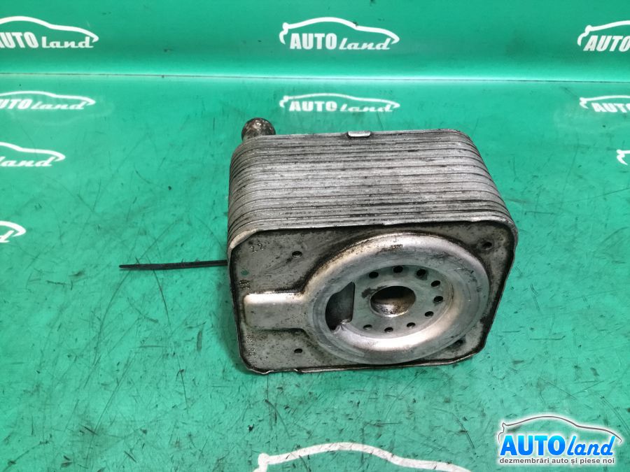 Termoflot (Racitor Ulei) VOLKSWAGEN GOLF IV (1J1) 1997-2005 Cod 038117081