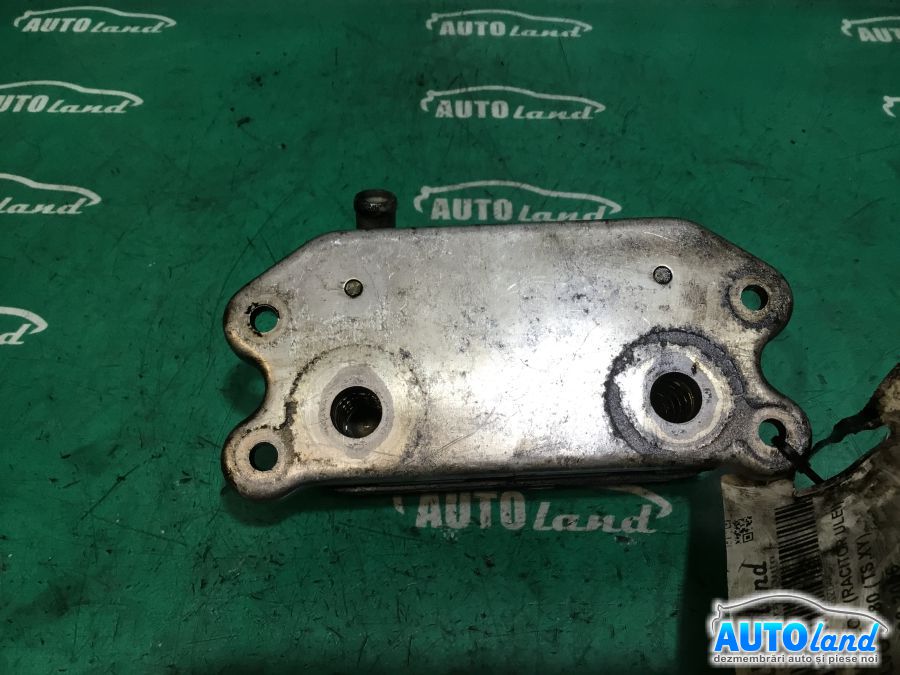 Termoflot (Racitor Ulei) VOLVO S80 (TS,XY) 1998-2006 Cod 9497225