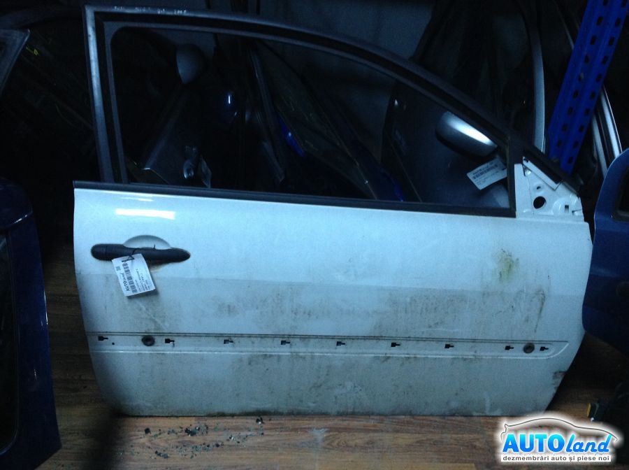 Usa fata Dreapta RENAULT MEGANE II (BM0/1_,CM0/1_) 2002-2025
